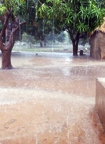 雨季に入ったセネガルで降り続く雨