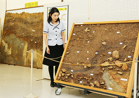 活断層の断面標本も展示されている特別展