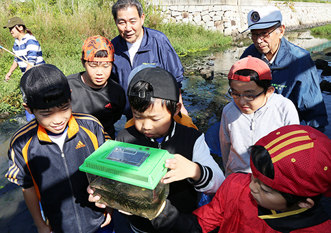 採集した水生生物を観察する子どもたち