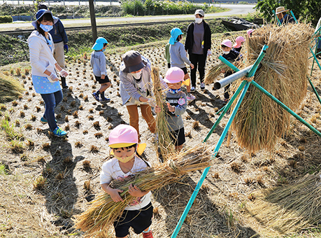 園児たちも手伝った神米の脱穀作業