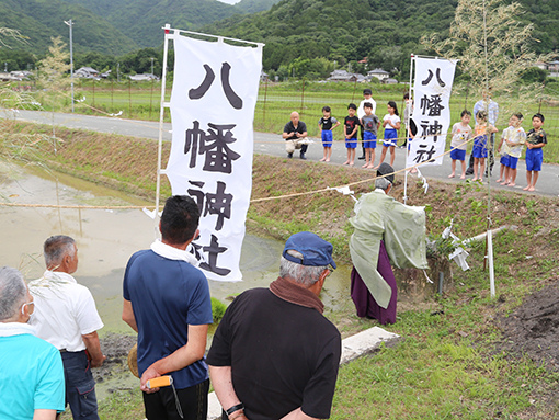 毎年「夏至」の日に行われる東有年八幡神社の「お田植え祭」