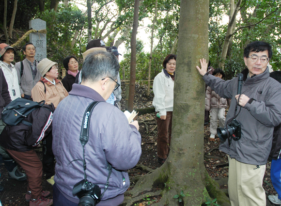 生島の貴重な樹林を観察した環境学習会=右端が服部教授