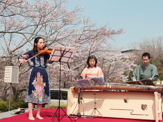 琴とバイオリンの優雅な演奏