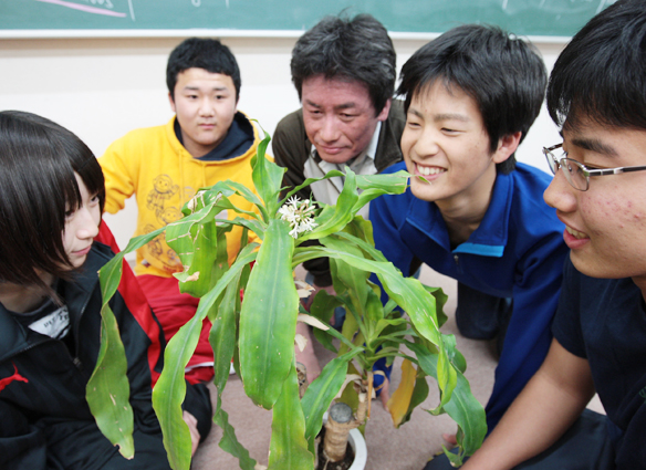 珍しい花を咲かせた「幸福の木」を見つめる飛岡さん=中央=と塾生