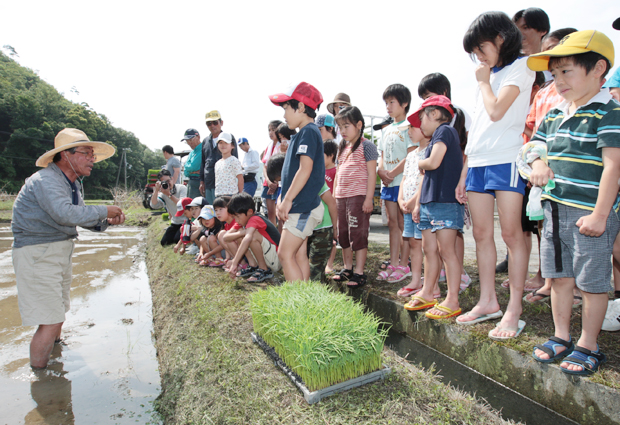 高田國弘自治会長から苗の持ち方を教わる子どもたち