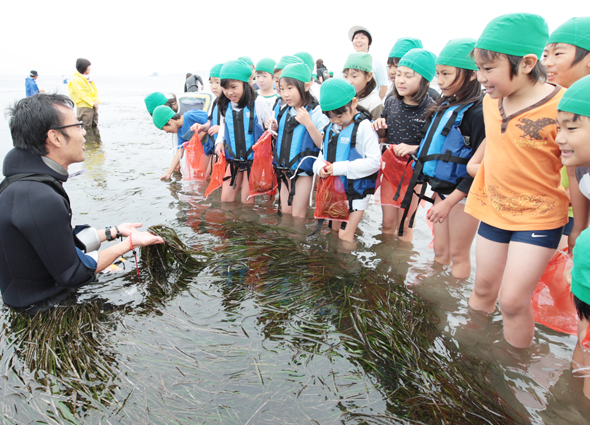 雨でも元気に行ったアマモ種子採取