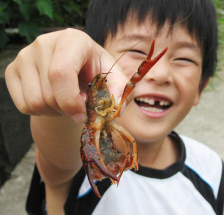 子どもたちの人気を集めそうなザリガニ釣りもある加里屋川親水イベント