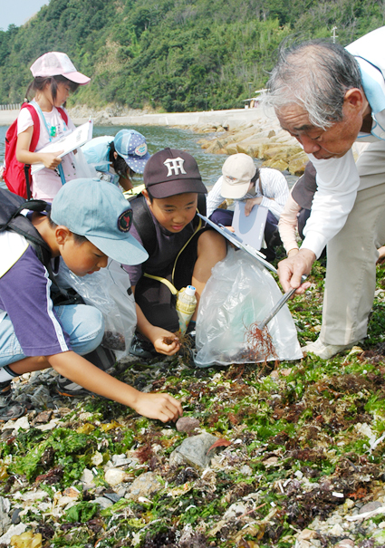 御崎・大塚海岸で行われた自然観察会