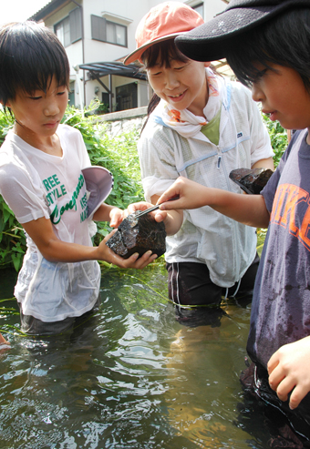 子どもたちが川への関心を高めた水生生物調査