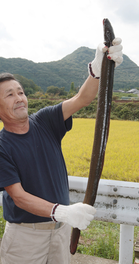 安藤さんが捕まえた大ウナギ