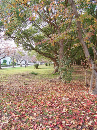 写真展「なるほどほのぼの写真展いろとりどり編」の展示作品の一つ
