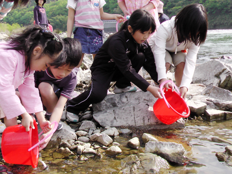 「大きくなってー」とアユの稚魚を放流する高雄小児童