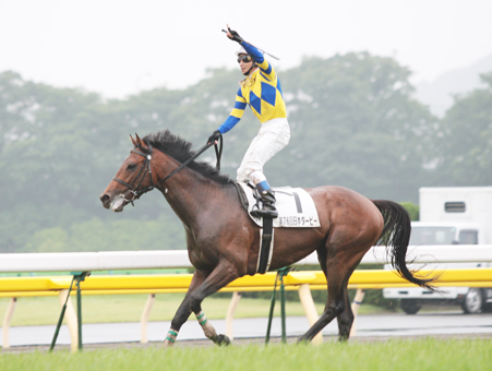 優勝したロジユニヴァース号と横山典弘騎手