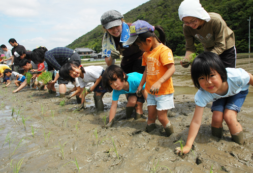 秋の収穫を楽しみにしながら苗をさした田植え体験