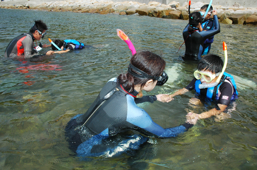 大塚海岸で行われた水中生物観察会