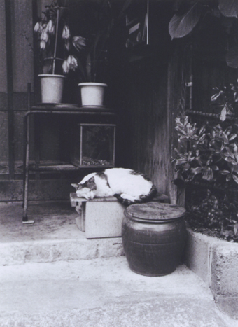 展示作品の一つ