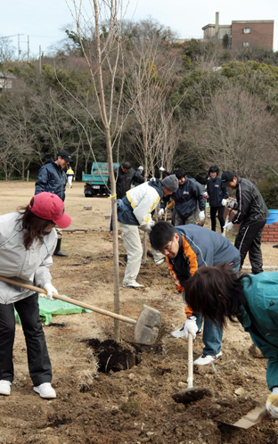 サクラ植樹のボランティア活動を行った赤穂市職員のみなさん