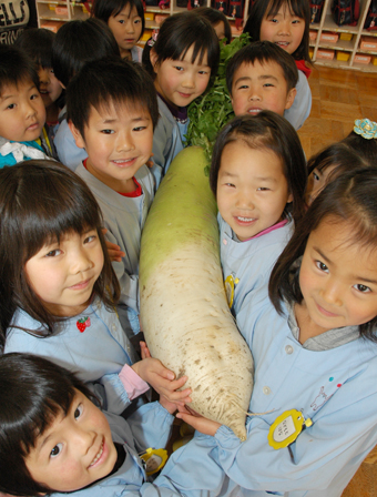 園児数人でようやく抱えられるぐらい巨大なダイコン