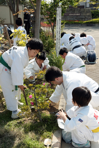 歴史博物館前の「元禄ガーデニング庭園」で除草奉仕する赤穂柔道スポーツ少年団