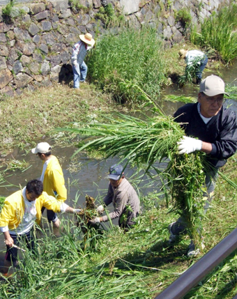沿川住民が一斉に実施した「加里屋川クリーン大作戦」