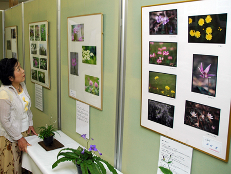 坂越まち並み館で開催中の写真展