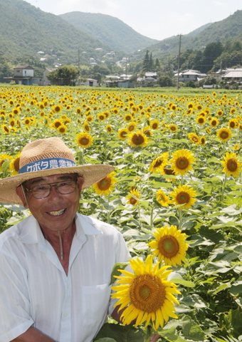 今年もたくさんの花が咲いた茶元一一さんのヒマワリ畑