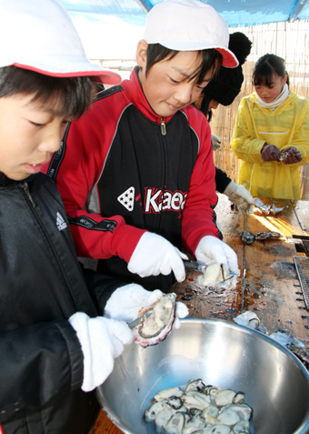 カキ養殖を見学した坂越小学校児童。殻むきにも挑戦した