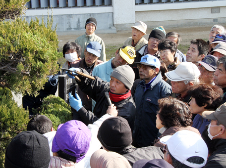 樹木剪定のコツをプロから教わった実技講習会