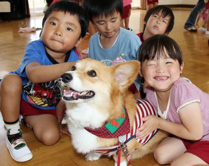 命のぬくもりに触れた動物愛護教育