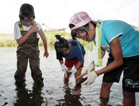 チスジノリの繁殖を助けようと川石を磨く子どもたち