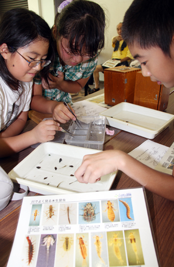 川で採集した生物を調べる子どもたち