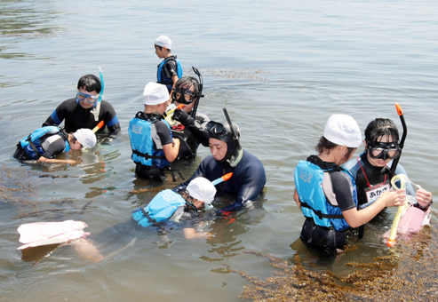 大塚海岸であった御崎小のシュノーケリング体験