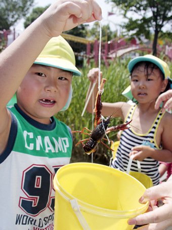 塩屋幼稚園の預かり保育で行われたザリガニ釣り