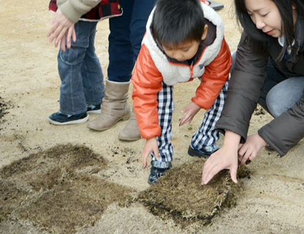 子どもたちも手伝った御崎第一公園の芝生化作業=元禄橋町自治会提供