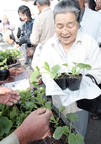 「甘くておいしい果実に育てて」と希望者に配られたど根性メロンの3世苗