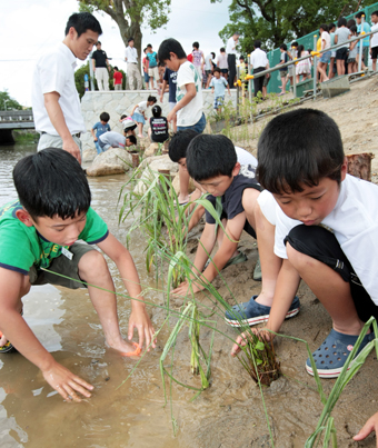 完成したばかりのビオトープに草を移植する子どもたち