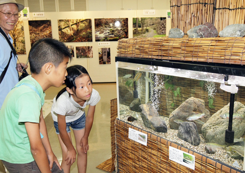 生きた魚も展示している特別展「千種川圏域物語」
