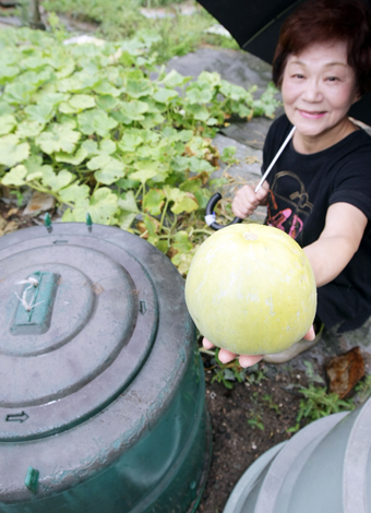 思いがけず実った「ごほうびメロン」に笑顔の稲場京子さん。手前左がコンポスト器