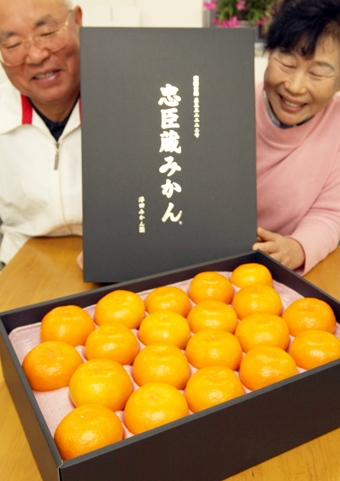 粒ぞろいの果実が並ぶ贈答用「忠臣蔵みかん」