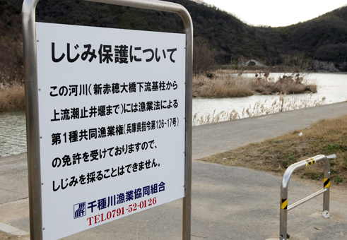 シジミの採取禁止を告知する看板