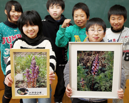 ハマウツボ保護活動について実践発表する高雄小6年生