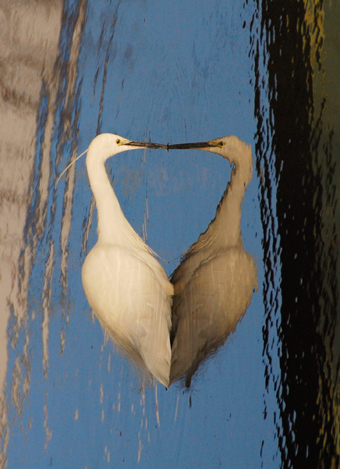 展示作品の一つ「Kiss me」