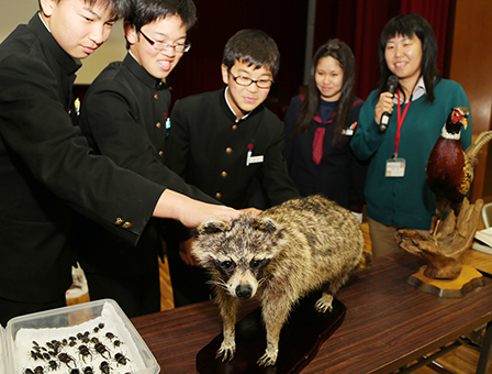 外来種の命について考えた出前授業