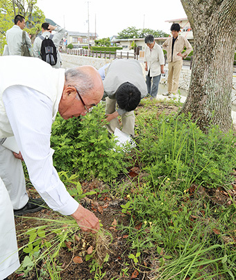 活動をスタートした市民ボランティア「加里屋川サポーターズ」