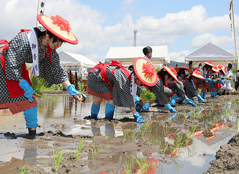 菅笠姿の早乙女たちによる「お田植祭」