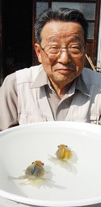 「赤穂の地金魚」として「穂竜」を創り上げた榊誠司さん