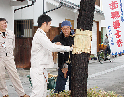 お城通りで行われたクロマツのこも巻き作業