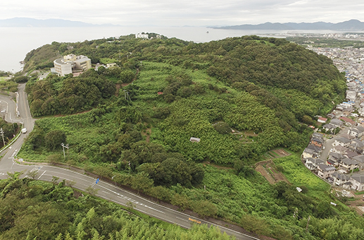 伐採が始まる前の予定地(今年8月5日撮影)=読者提供