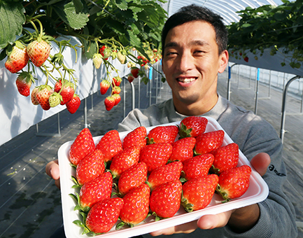 「赤穂イチゴを地域ブランドに育てたい」と夢を語る丸尾友明さん
