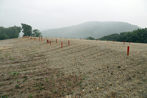 無許可で造成が行われた太陽光発電施設の建設工事現場